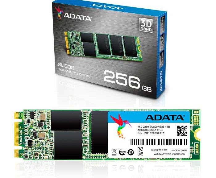 disco duro estado solido adata m2 ssd 256gb su800 2280